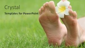  Presentation with plumeria - Slides enhanced with woman legs with plumeria on green grass background and a yellow colored foreground