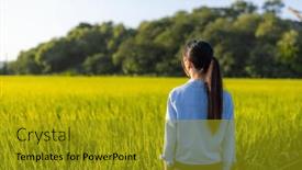  Presentation with paddy field - PPT layouts featuring woman-look-at-the-paddy background and a gold colored foreground