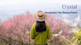  Presentation with sakura - Slides having woman-look-at-the-sakura background and a sky blue colored foreground