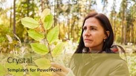 Presentation with leaves - Presentation theme having woman-looking-at-leaves background and a yellow colored foreground