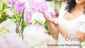  Presentation with orchids - Presentation theme having floriculture - woman looking to orchids background and a lemonade colored foreground