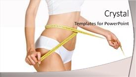  Presentation with slim body - Colorful PPT theme enhanced with berries on a chinese elm backdrop and a tawny brown colored foreground