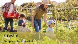  Presentation with co2 for produce - Audience pleasing theme consisting of woman owned - family harvesting produce from allotment backdrop and a yellow colored foreground