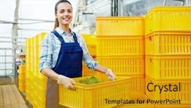  Presentation with greenhouse - Beautiful PPT theme featuring woman owned business - pretty farmer in gloves backdrop and a gold colored foreground