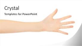  Presentation with palm - Amazing theme having woman palm with five fingers backdrop and a white colored foreground