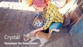  Presentation with farm - Presentation enhanced with woman-petting-the-cat background and a gray colored foreground