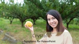 Presentation with pear - PPT layouts having woman picking a pear in a garden background and a mint green colored foreground
