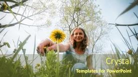  Presentation with dandelion - Slide set featuring woman-picking-dandelion-flowers-wild background and a tawny brown colored foreground