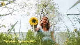  Presentation with dandelion - Slide set enhanced with woman-picking-dandelion-flowers-wild background and a tawny brown colored foreground
