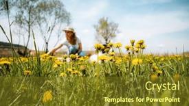  Presentation with dandelion - PPT theme enhanced with woman-picking-dandelion-flowers-wild background and a tawny brown colored foreground