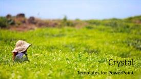 Presentation with tea plantation - Colorful slide deck enhanced with woman picking tea leaves backdrop and a gold colored foreground
