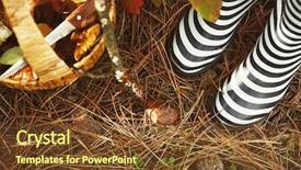  Presentation with magic mushrooms - Audience pleasing PPT layouts consisting of woman picking up mushrooms closeup backdrop and a tawny brown colored foreground
