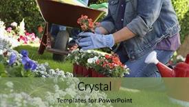  Presentation with flower woman - Cool new presentation theme with woman planting flowers in garden backdrop and a seafoam green colored foreground