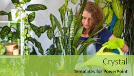  Presentation with home gardening - Presentation theme enhanced with woman-planting-houseplants-indoors-home background and a yellow colored foreground