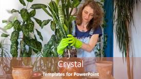  Presentation with home gardening - Colorful presentation theme enhanced with woman-planting-houseplants-indoors-home backdrop and a coral colored foreground
