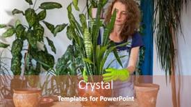  Presentation with home gardening - Slide deck enhanced with woman-planting-houseplants-indoors-home background and a coral colored foreground