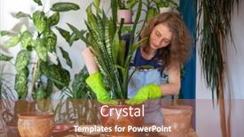  Presentation with home gardening - Amazing PPT theme having woman-planting-houseplants-indoors-home backdrop and a red colored foreground