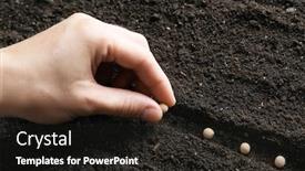  Presentation with soil - Amazing theme having woman planting seeds in soil close up backdrop and a dark gray colored foreground