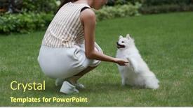  Presentation with dog park - PPT theme featuring woman-play-with-her-pomeranian background and a tawny brown colored foreground