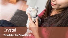  Presentation with play - Colorful presentation enhanced with woman play with kitten at home backdrop and a red colored foreground