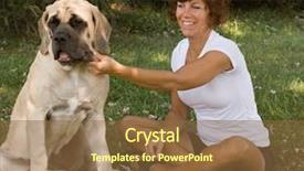  Presentation with dog - Audience pleasing PPT layouts consisting of woman-playing-with-dog backdrop and a tawny brown colored foreground