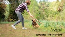  Presentation with welsh - Slide set with woman-playing-with-her-dog background and a  colored foreground