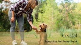  Presentation with walk - PPT layouts featuring woman-playing-with-her-dog background and a  colored foreground