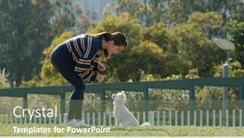  Presentation with dog park - Presentation design enhanced with woman-plays-with-her-dog background and a violet colored foreground