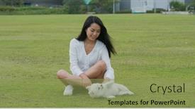  Presentation with dog park - Cool new presentation design with woman-plays-with-her-dog backdrop and a seafoam green colored foreground