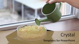  Presentation with pouring water - Slide deck featuring woman pouring wheat grass seeds background and a coral colored foreground