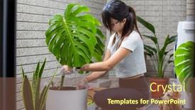  Presentation with plant - Theme having woman-put-monstera-deliciosa background and a tawny brown colored foreground