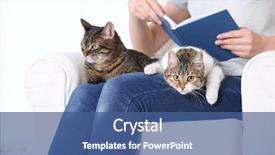  Presentation with reading - Theme featuring woman reading book while sitting background and a ocean colored foreground