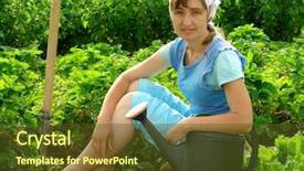  Presentation with beds - Colorful PPT theme enhanced with woman resting near vegetable beds backdrop and a  colored foreground