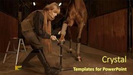  Presentation with rider - Presentation theme with woman-rider-applying-protective-varnish background and a tawny brown colored foreground