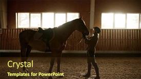  Presentation with rider - Slides having woman-rider-harnessed-horse background and a tawny brown colored foreground