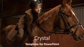  Presentation with rider - Presentation theme consisting of woman-rider-in-saddle-praises background and a wine colored foreground