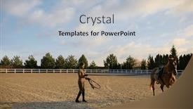  Presentation with rider - Presentation design featuring woman-rider-training-horse background and a light blue colored foreground
