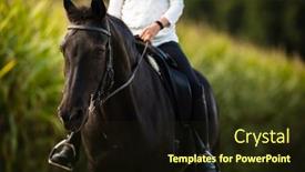  Presentation with equestrian - Colorful PPT theme enhanced with woman-riding-a-horse-equestrian backdrop and a tawny brown colored foreground