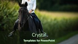  Presentation with equestrian - Presentation theme with woman-riding-a-horse-equestrian background and a tawny brown colored foreground