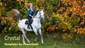  Presentation with horse riding - Slide deck featuring woman riding a horse in park background and a tawny brown colored foreground