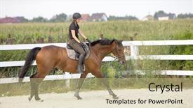  Presentation with horse riding - Presentation design having woman riding a horse in jumper ring background and a mint green colored foreground