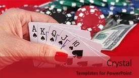  Presentation with playing cards - Audience pleasing PPT layouts consisting of woman's hand holding playing cards royal flush backdrop and a crimson colored foreground