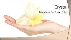  Presentation with bud - Colorful slide deck enhanced with woman's hand holding a bud of gladiolus on white background close-up backdrop and a white colored foreground