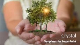 Presentation with healthy life style - PPT layouts with woman-s-hands-holding-trees background and a tawny brown colored foreground