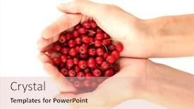  Presentation with hands holding - Colorful presentation theme enhanced with woman-s-hands-holding backdrop and a lemonade colored foreground