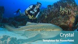  Presentation with shark - Presentation theme with woman scuba diver and leopard background and a teal colored foreground
