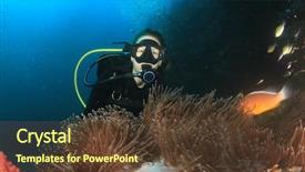  Presentation with coral reef - Amazing presentation design having woman scuba diver finds nemo backdrop and a tawny brown colored foreground