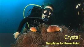  Presentation with coral reef - Cool new slide set with woman scuba diver finds nemo backdrop and a tawny brown colored foreground