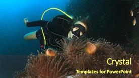  Presentation with coral reef - Amazing presentation having woman scuba diver finds nemo backdrop and a tawny brown colored foreground