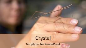  Presentation with tropical - Theme enhanced with woman-showing-tropical-skinny-stick background and a coral colored foreground